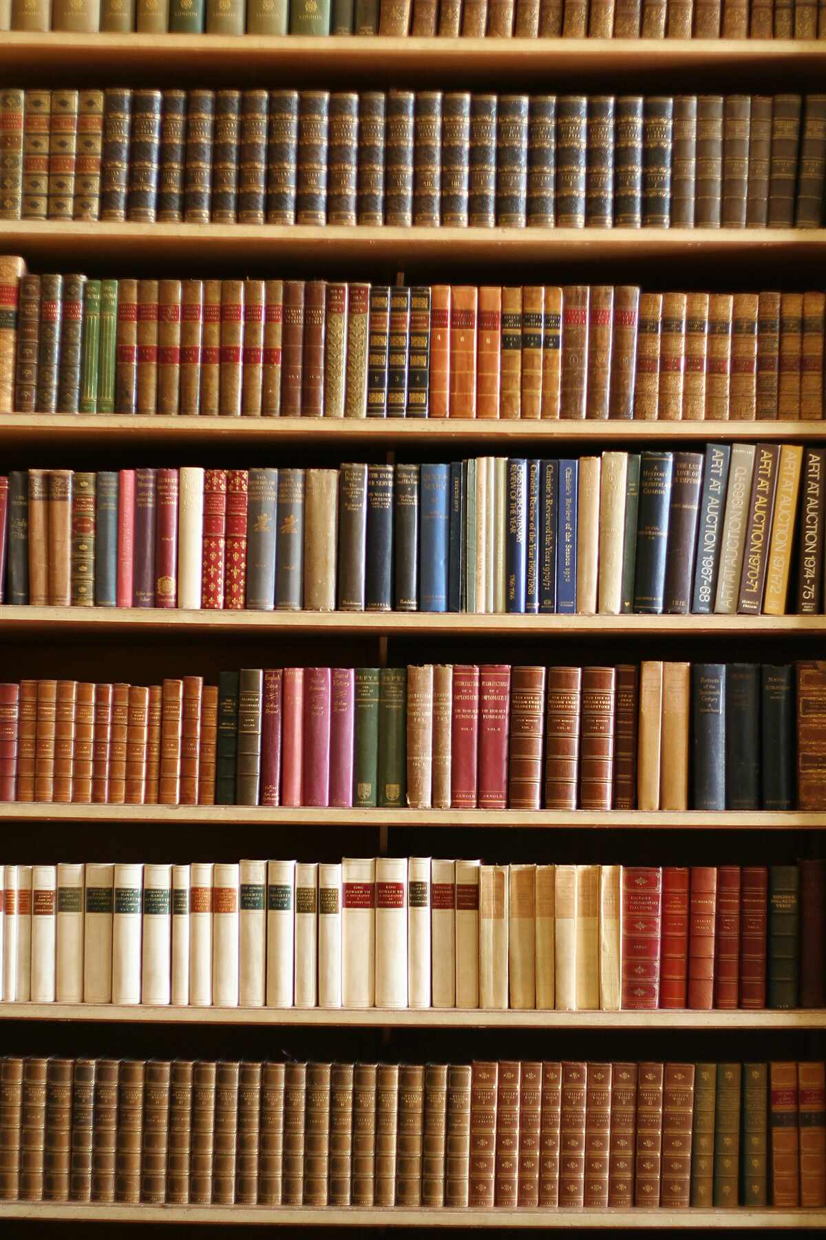 Fotobehang er staan veel boeken op de planken