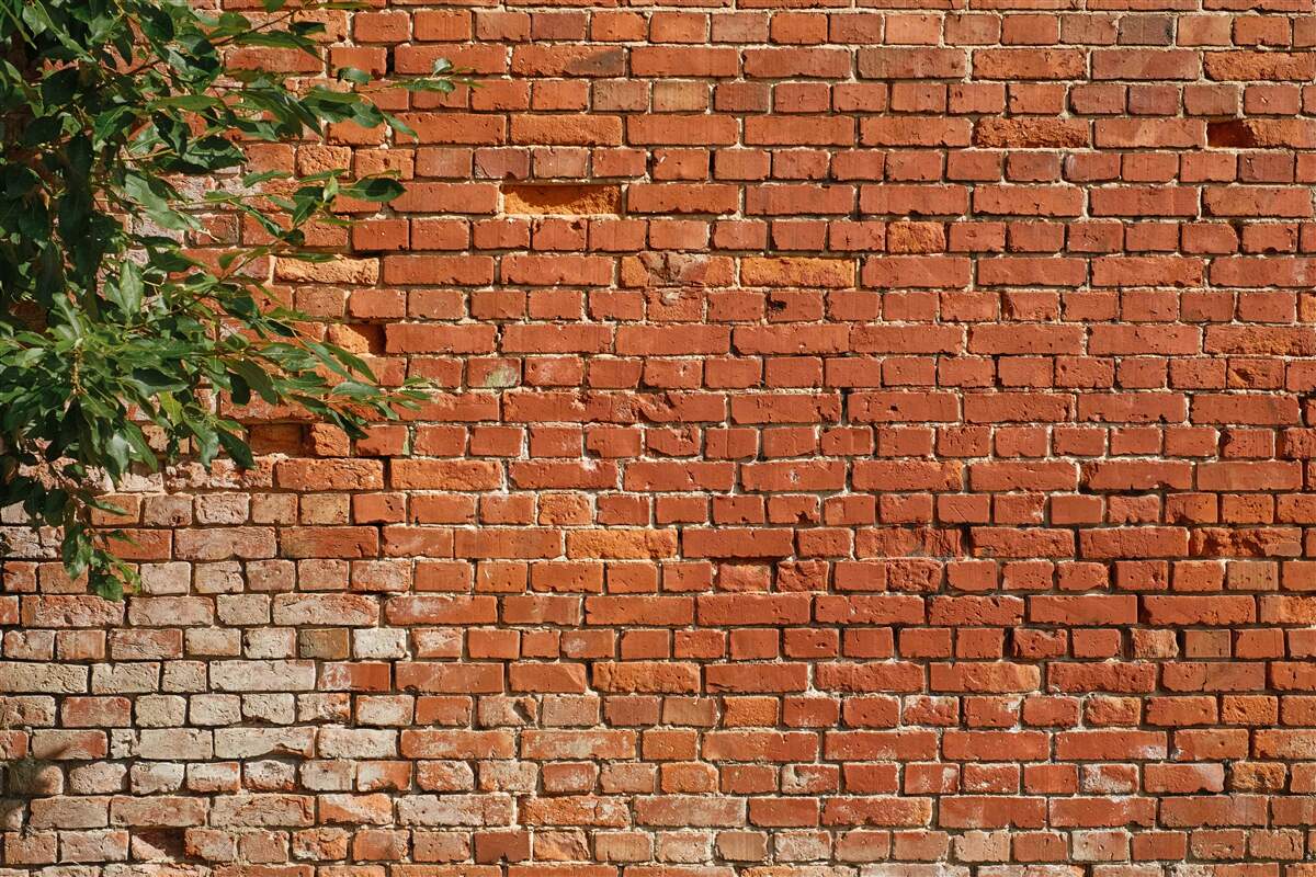 Fotobehang een houten tak naast een stenen barrière