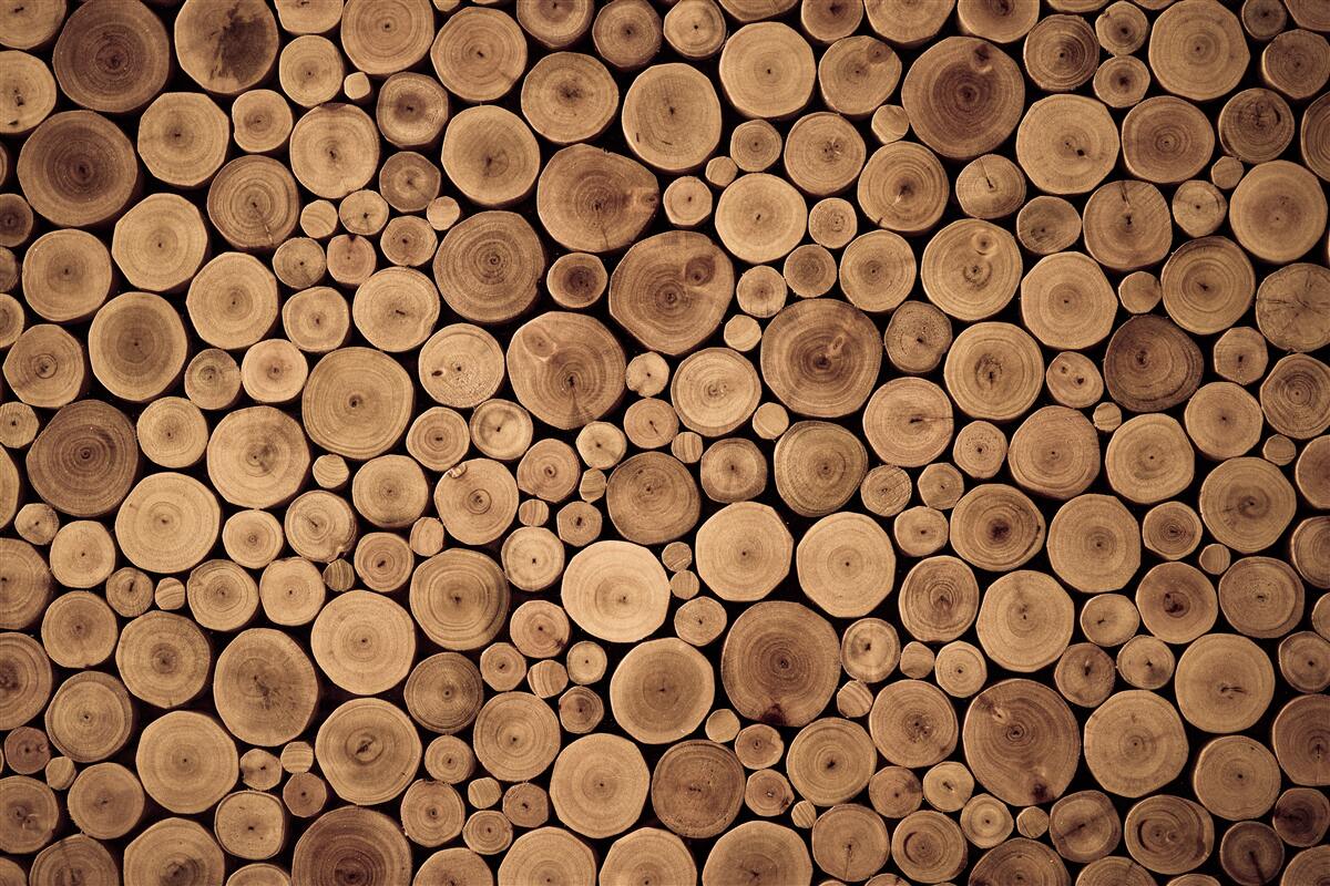 Fotobehang voorzichtig rond boomstammen snoeien