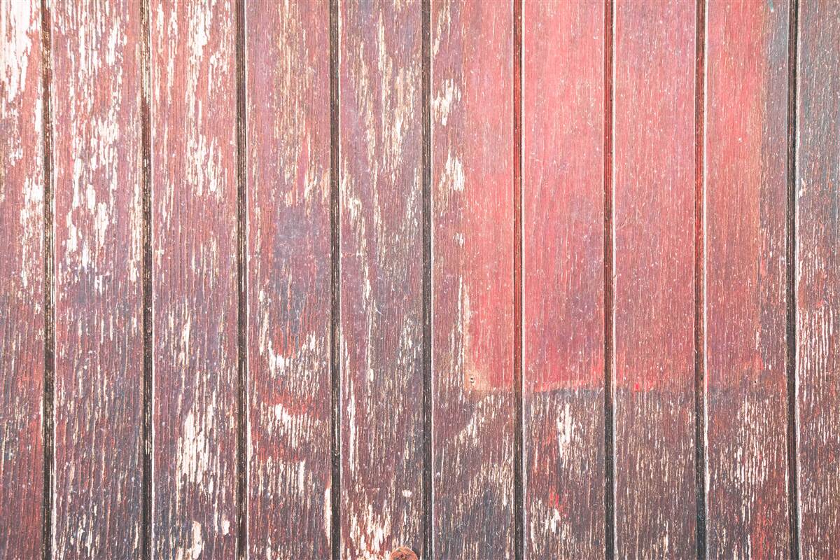 Fotobehang gedetailleerd overzicht van de oude boom