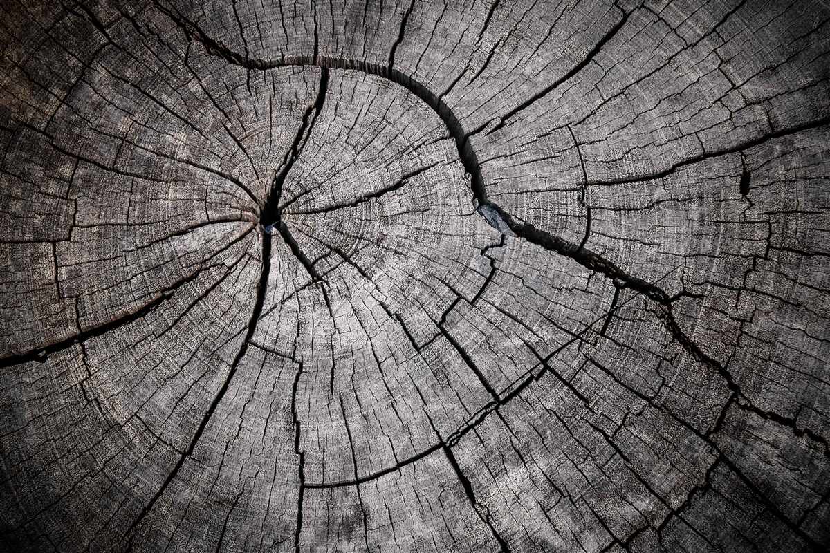 Fotobehang scheuren lopen door het oude hout