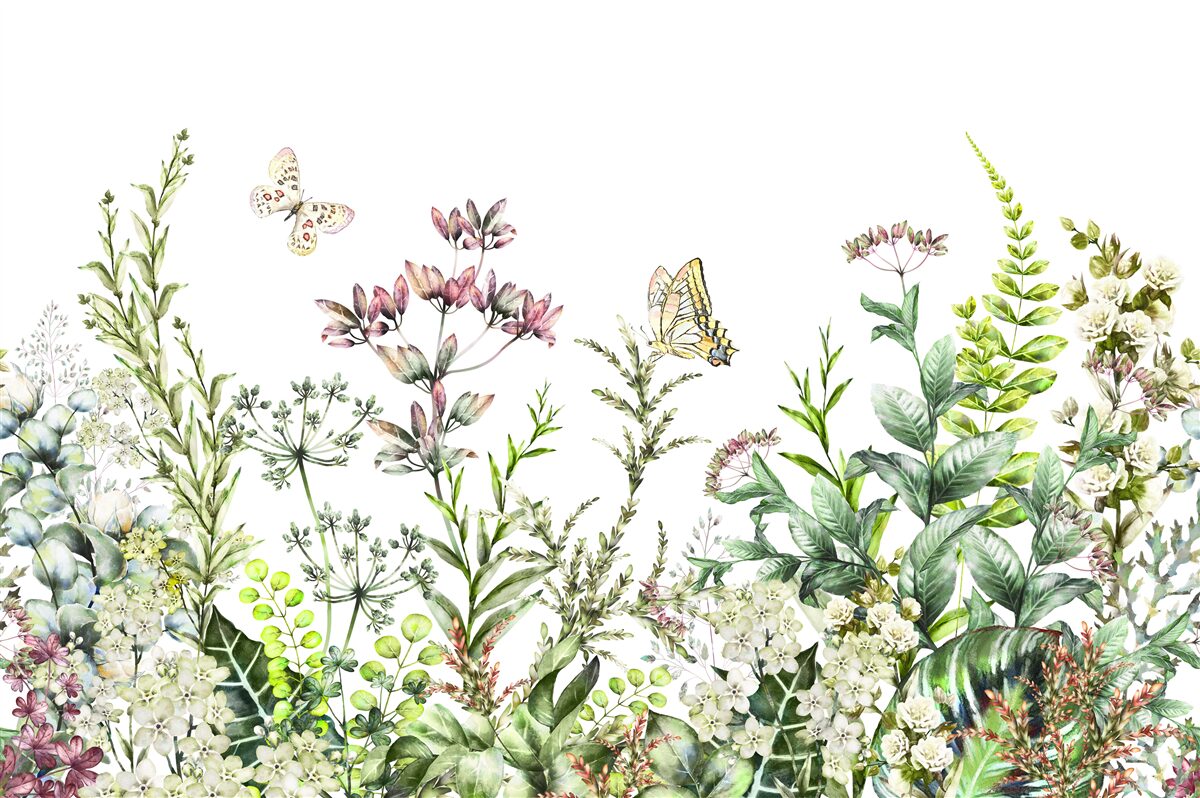 Fotobehang Lepidoptera op veldknoppen