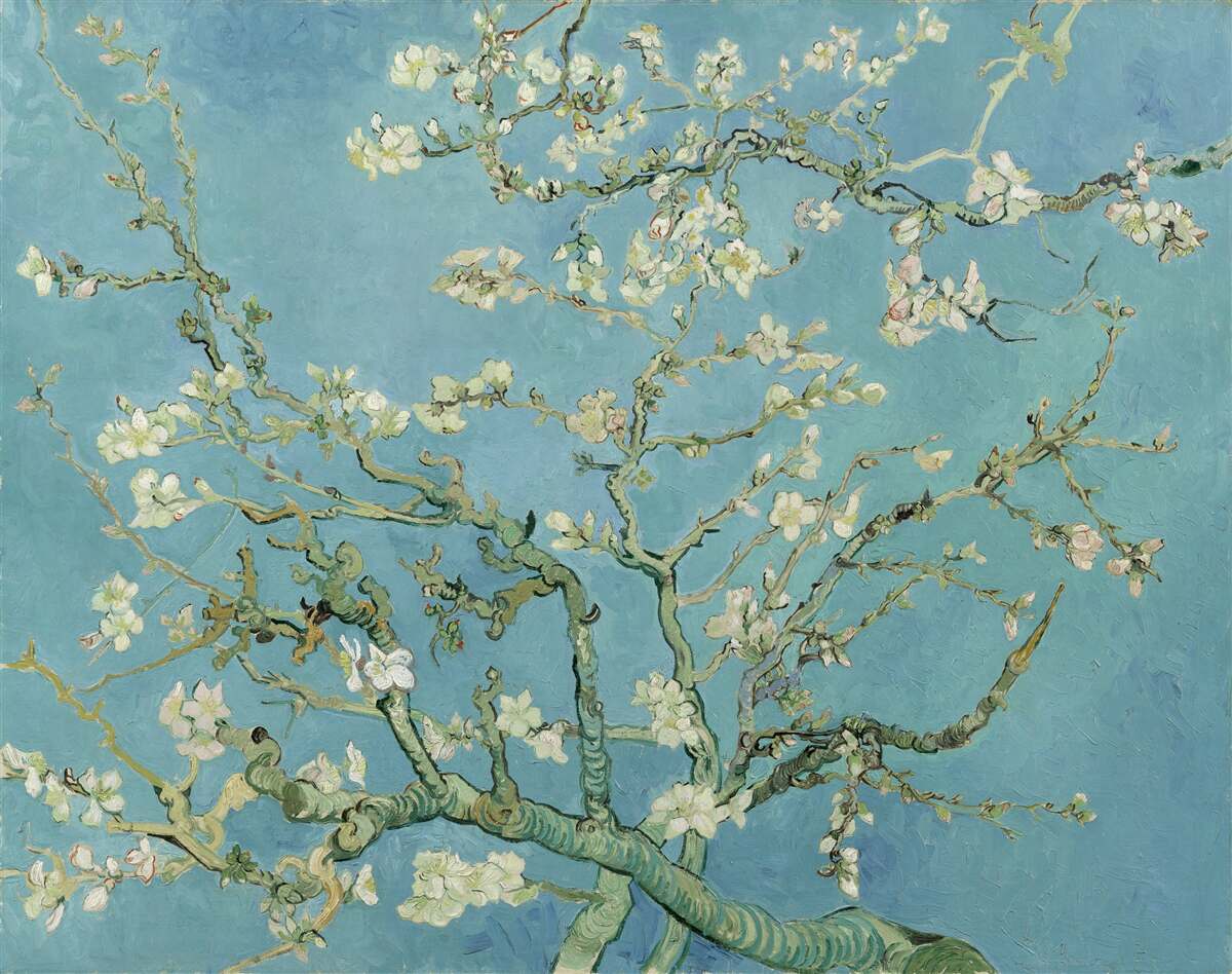Fotobehang Sneeuwwitte magnolia tegen een azuurblauwe hemel