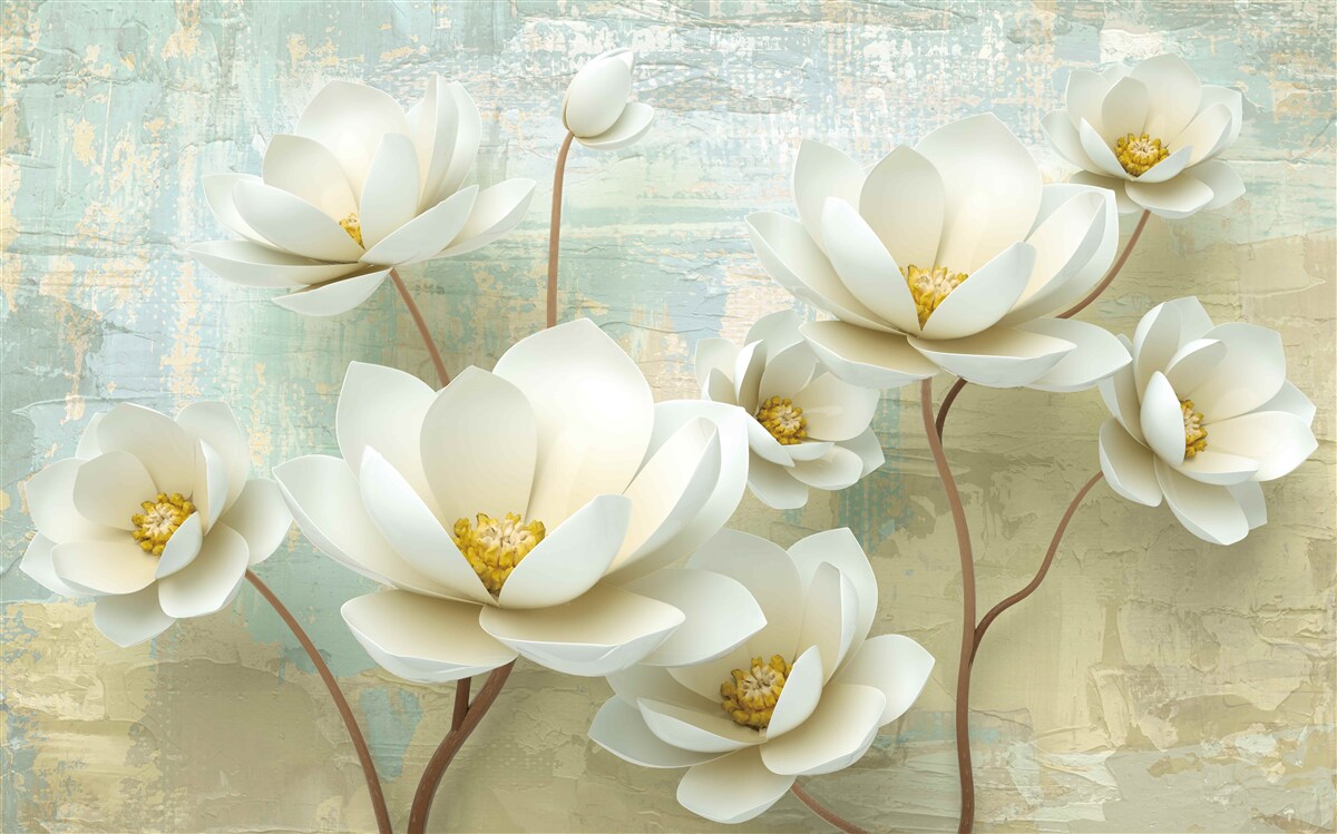 Fotobehang magnolia takken bloeien wit