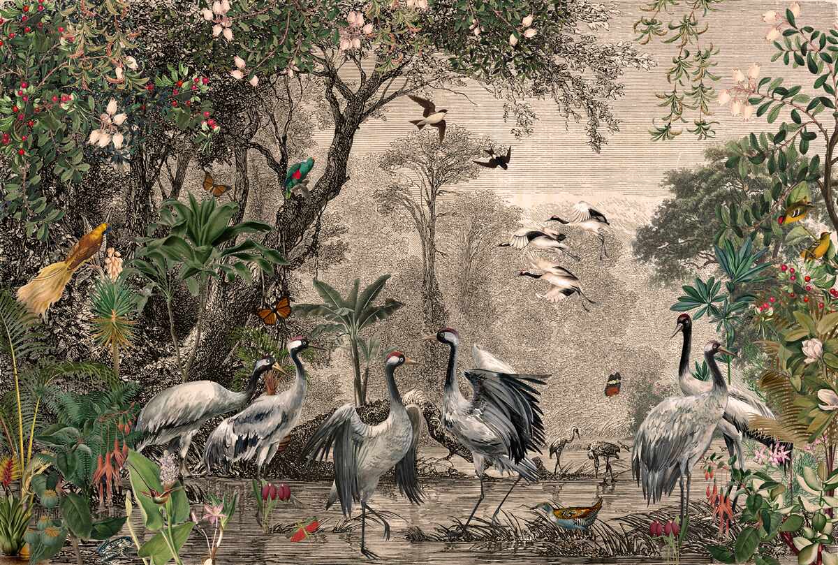 Fotobehang cluster kraanvogels bij een bosvijver