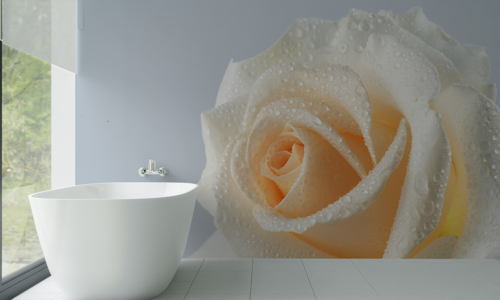 Fotobehang waterdruppels op een romige rozenbloem