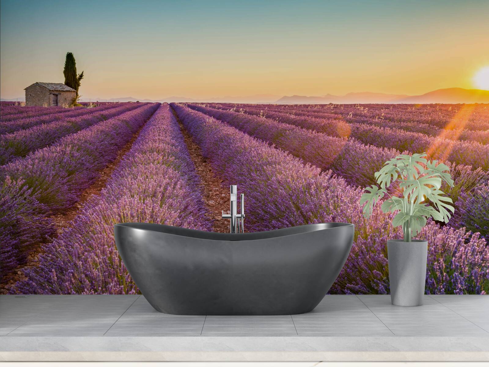 Fotobehang De dageraad is opgekomen boven een veld van lavendel