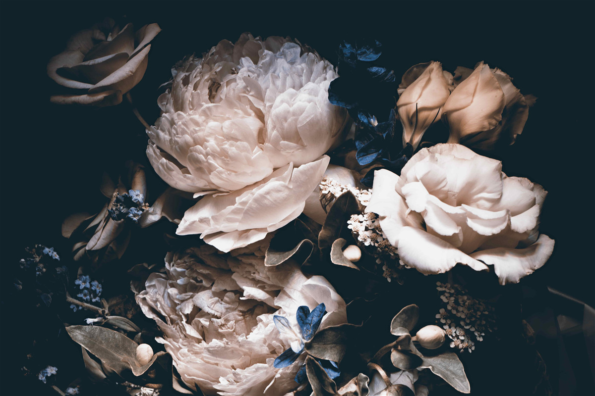 Fotobehang de donkere romantiek van bloemen