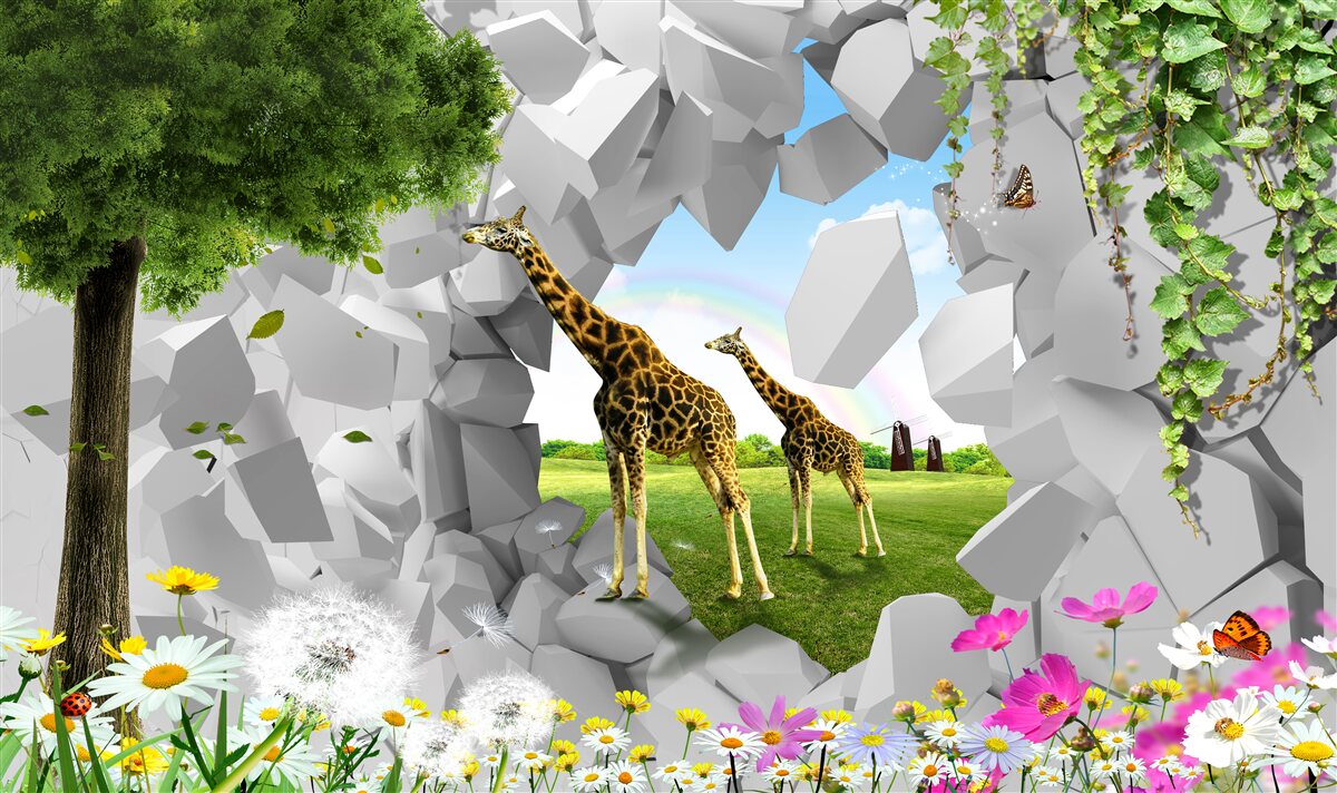 Fotobehang in het wild proberen giraffen bomen te bereiken
