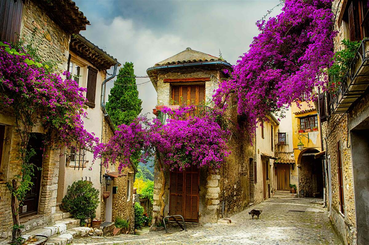 Fotobehang een straat in de provence die comfort en warmte uitstraalt