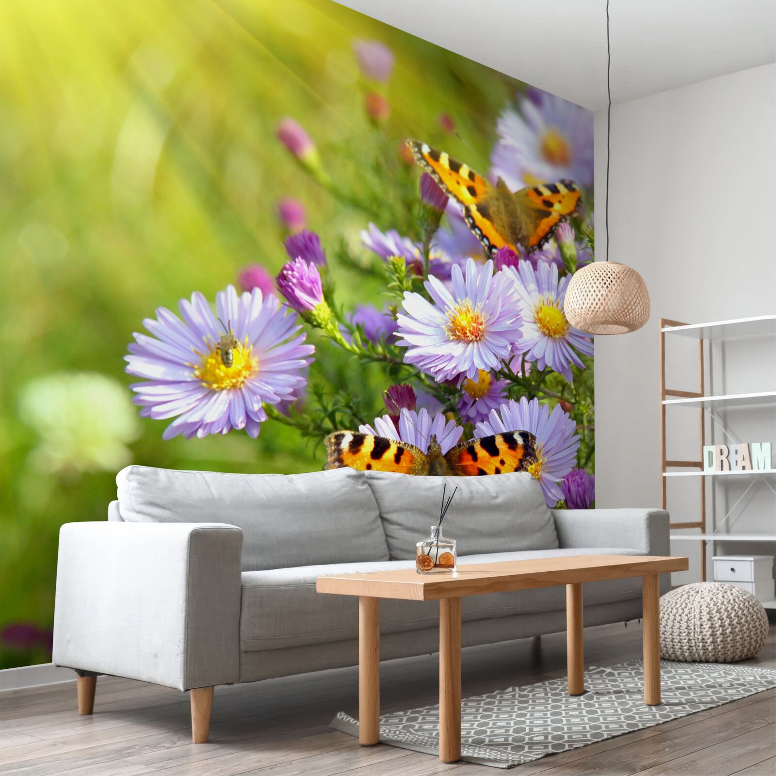 Fotobehang Een weide bezaaid met blauwe margrieten en vlinders