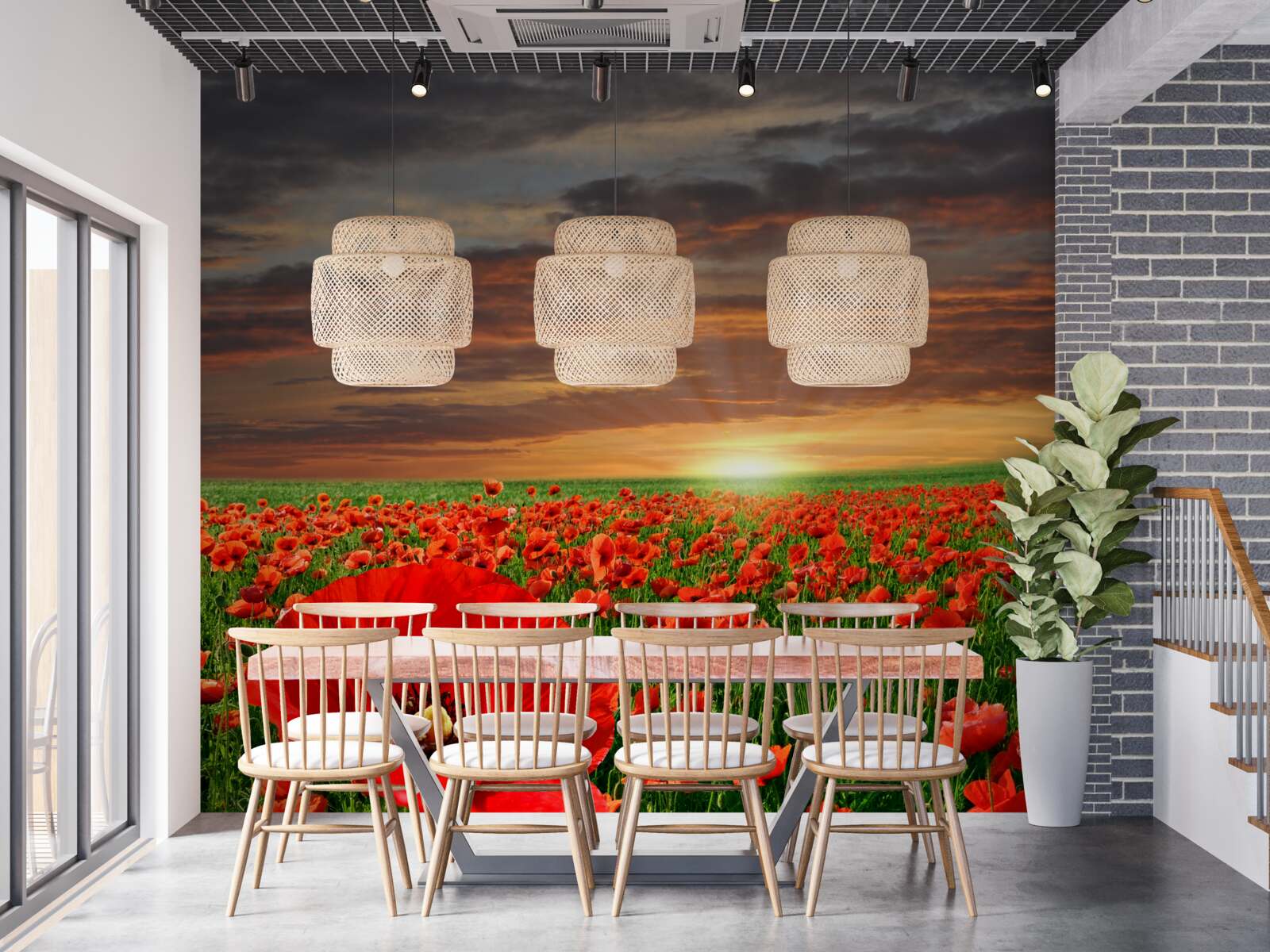 Fotobehang zonsondergang boven een veld van scharlaken klaprozen