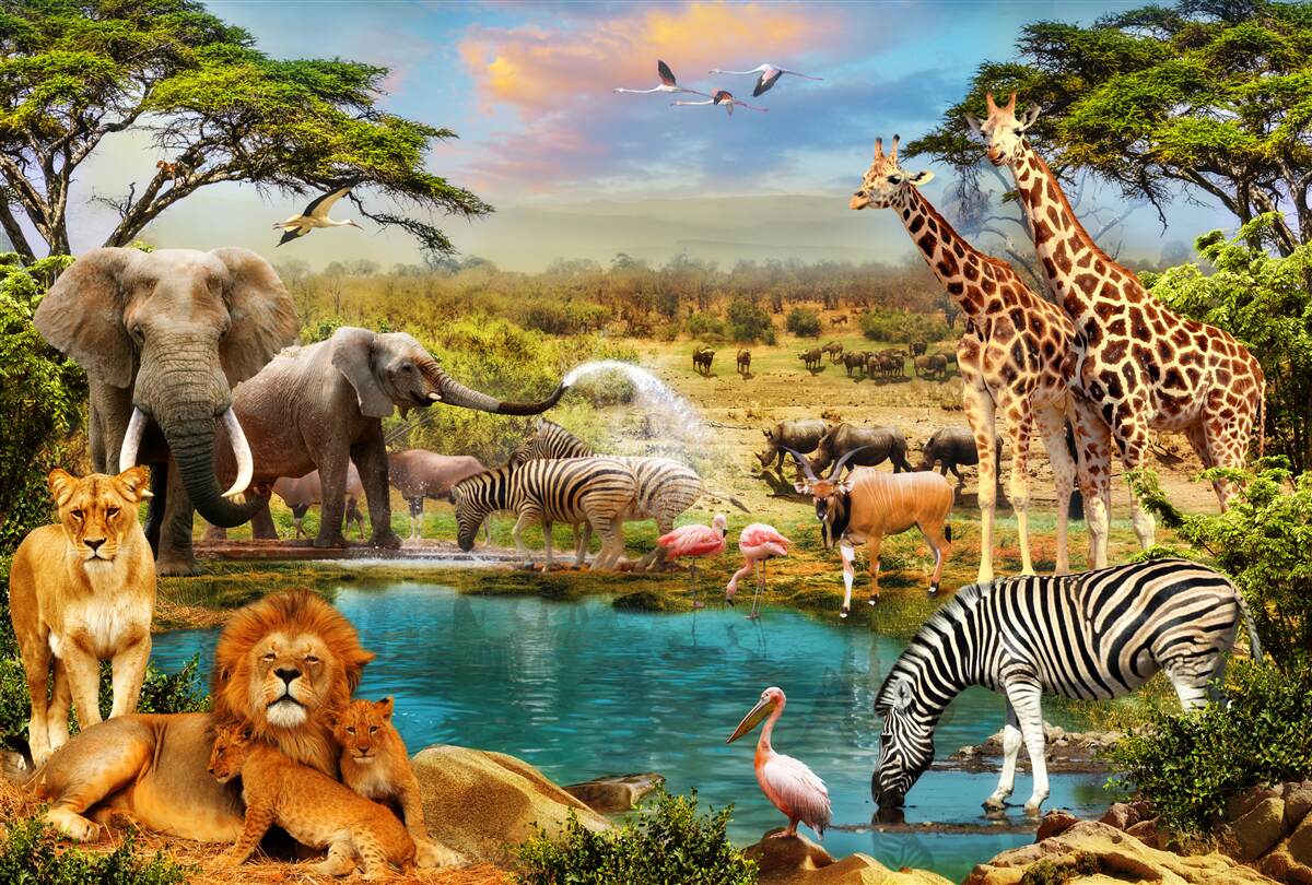 Fotobehang een waterpoel met afrikaanse dieren