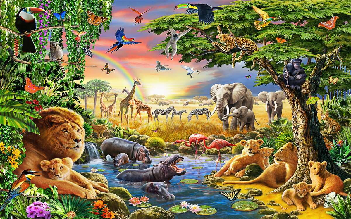 Fotobehang jungle in een boek