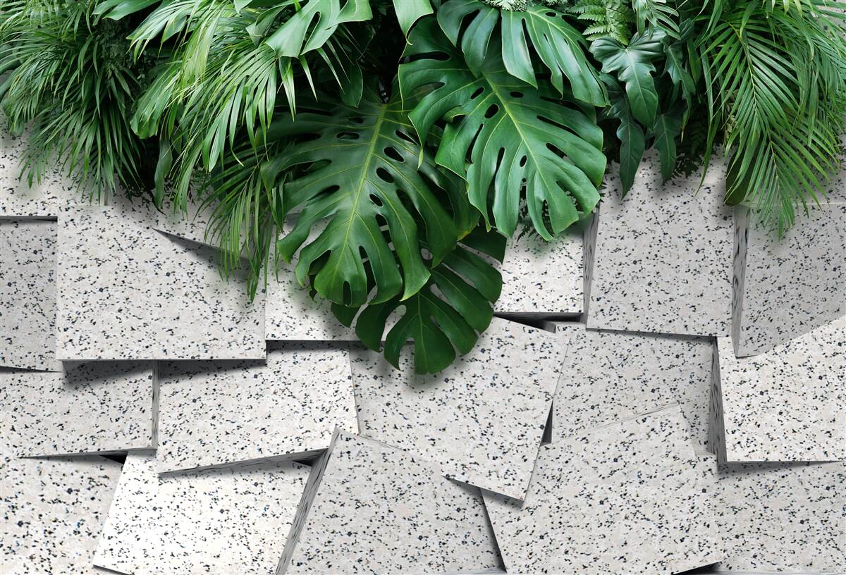Fotobehang monstera in een tropische sfeer op een grijze achtergrond