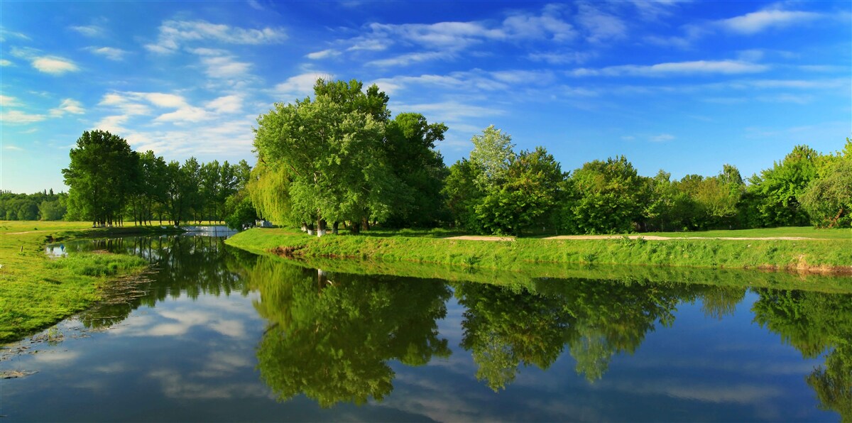 Fotobehang de rivier wordt omringd door bomen