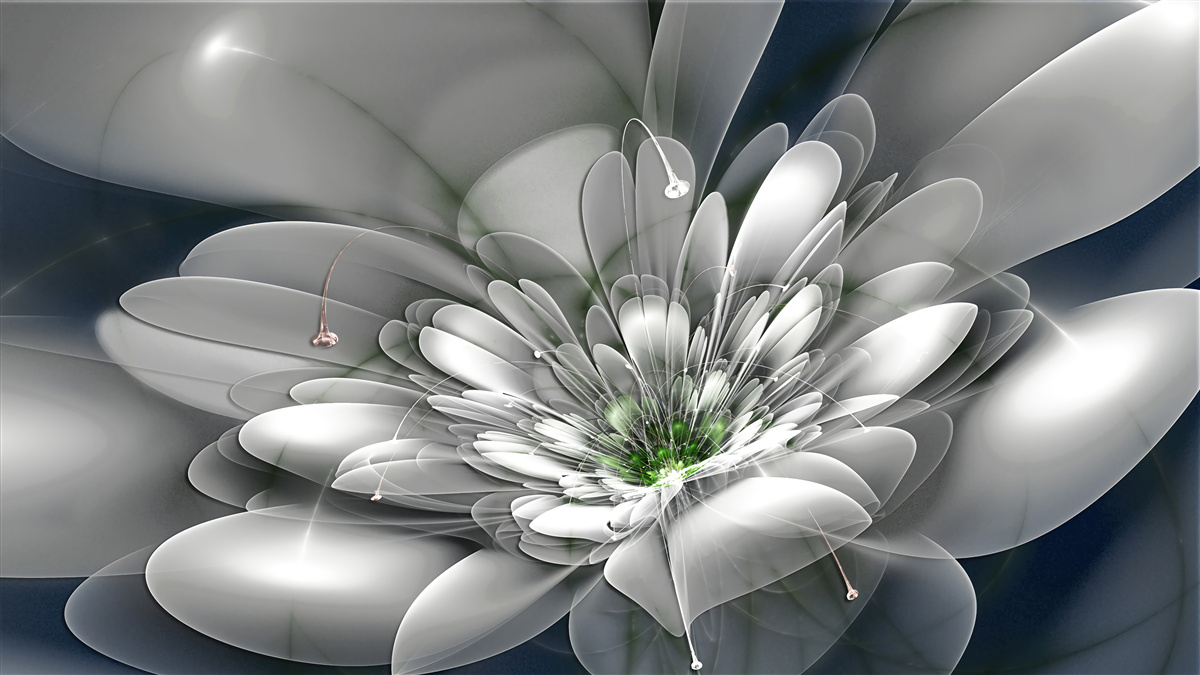 Fotobehang grote witte bloem