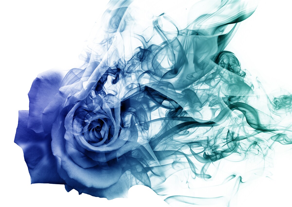 Fotobehang blauwe roos in een waas van hemels blauw