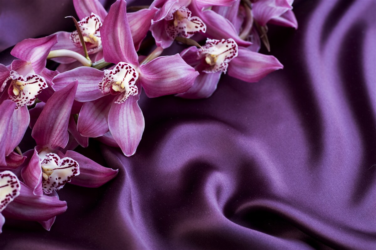 Fotobehang paarse orchideeën op satijn in dezelfde tint
