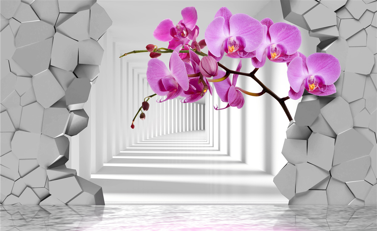 Fotobehang de orchidee penetreert de muur met haar tak