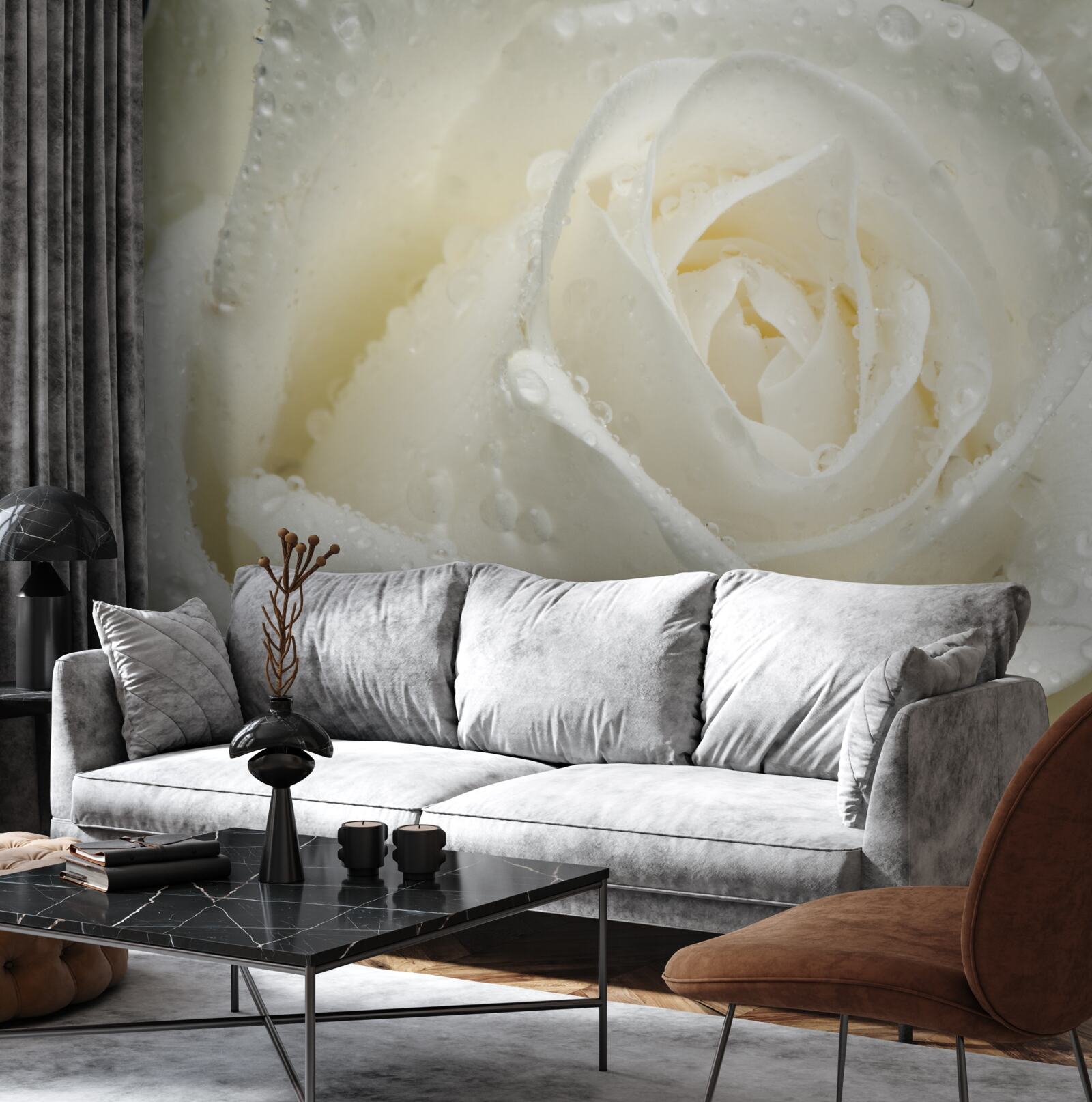 Fotobehang witte roos bedekt met ochtenddauw