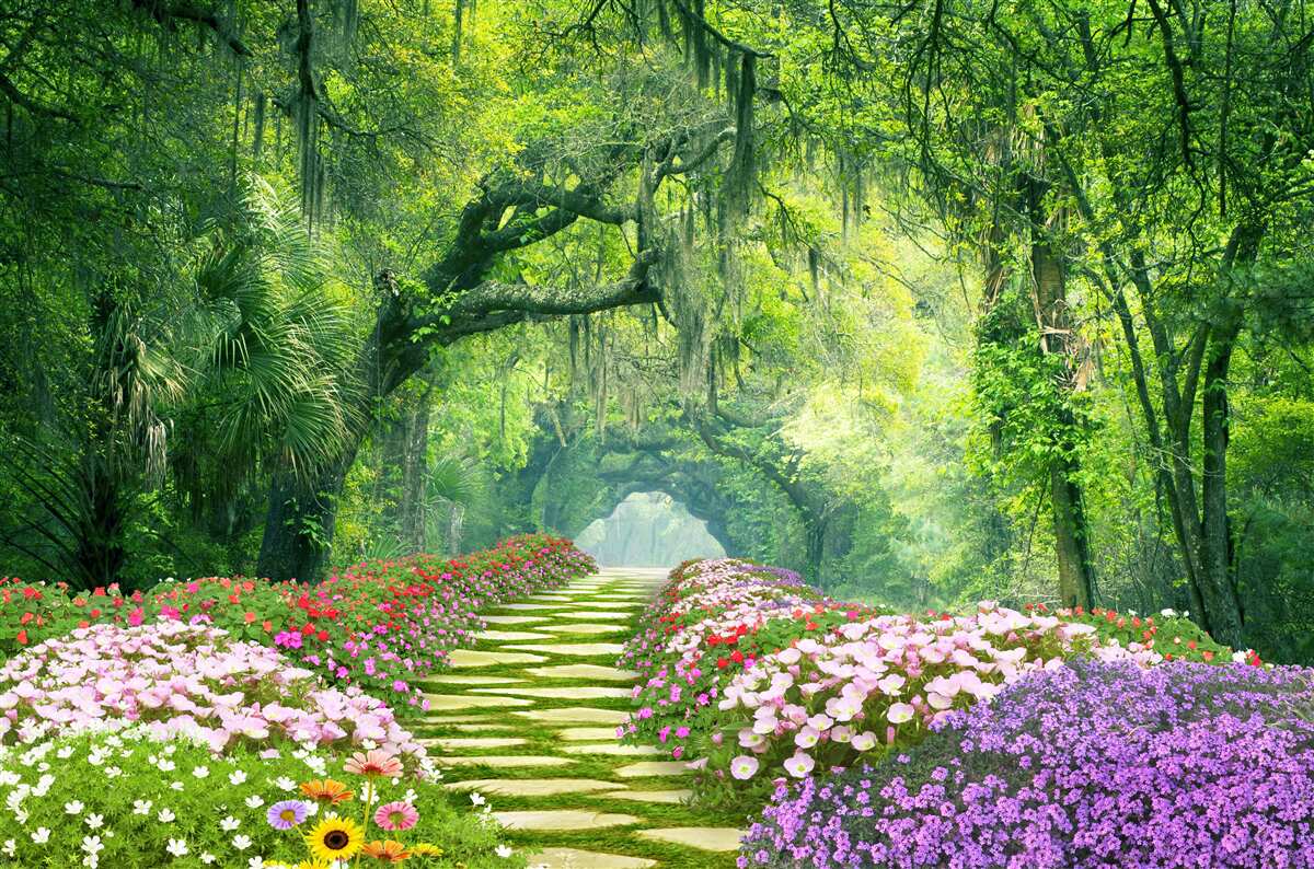 Fotobehang Een pad omringd door bloemen dat naar een groen bos leidt