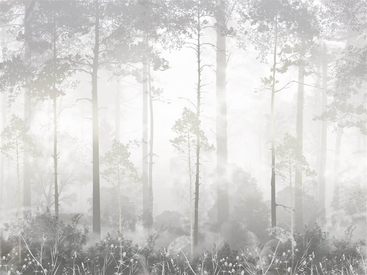 Fotobehang Het mistige bos is bezaaid met hoge dennenbomen, als in een sprookje
