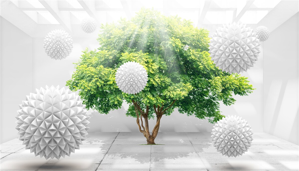 Fotobehang de zonnestralen verlichten de witte ballen, die contrasteren met het groen van de boom