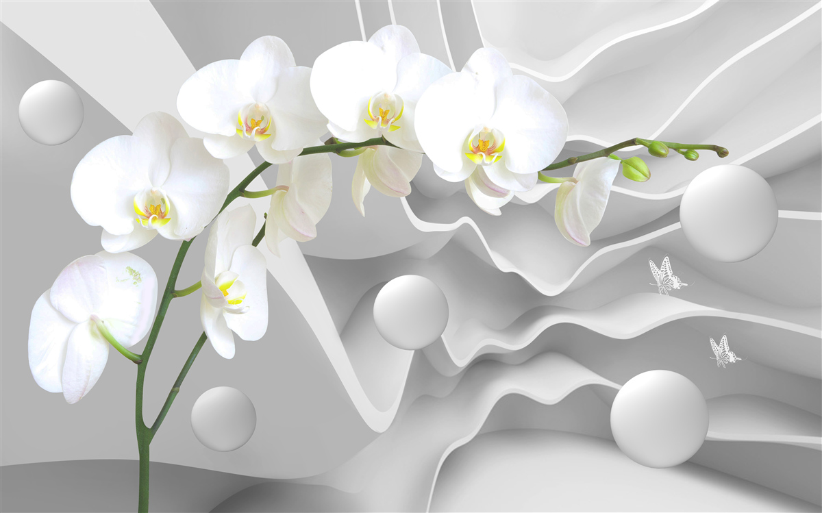 Fotobehang witte orchidee bloem op een tak