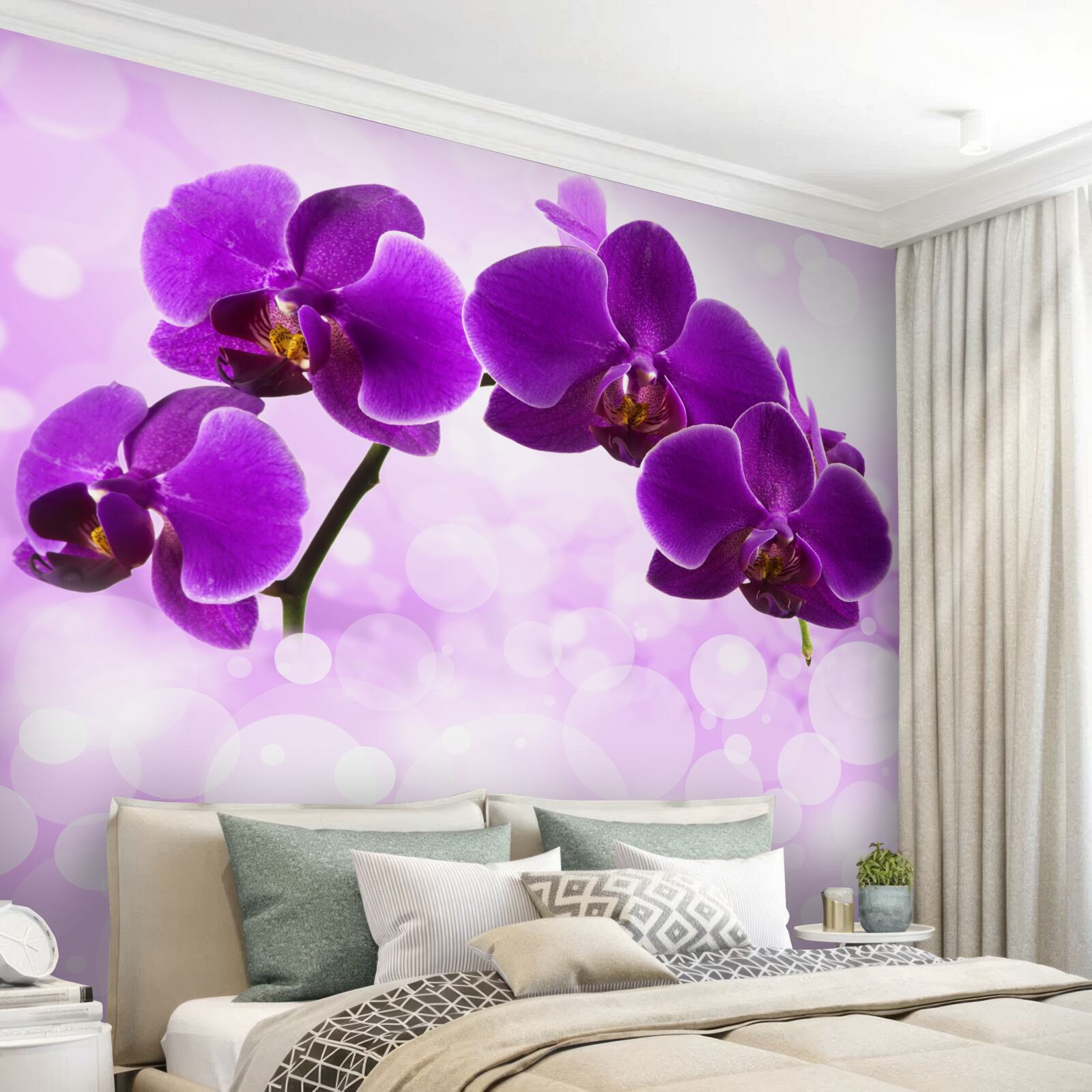 Fotobehang orchideeën met donkerpaarse bloemen
