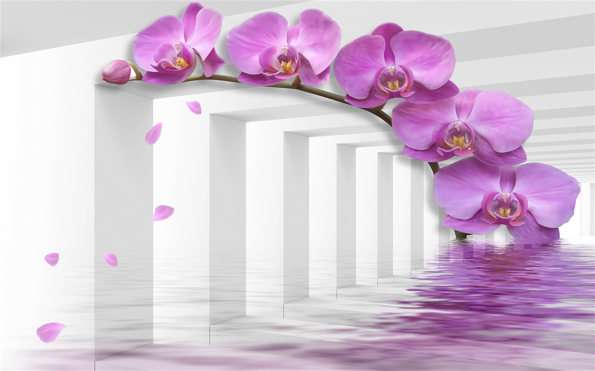 Fotobehang lila orchidee op een tak omringd door witte bogen