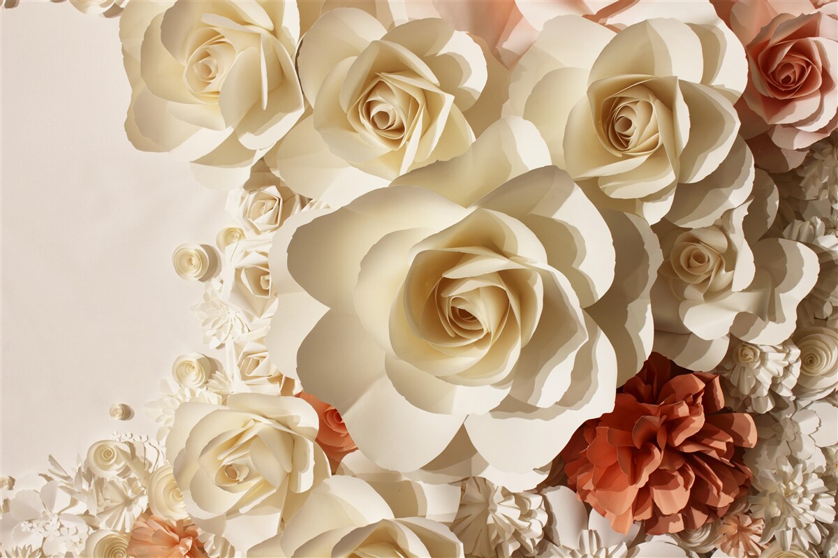 Fotobehang grote witte rozen