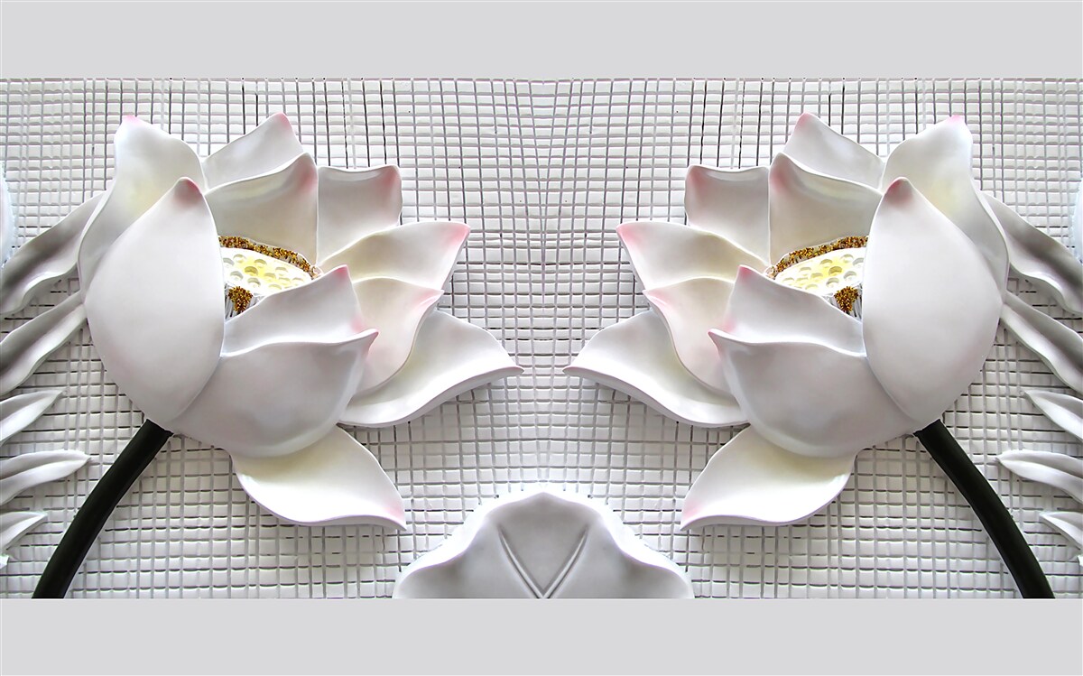 Fotobehang witte lotus dozen