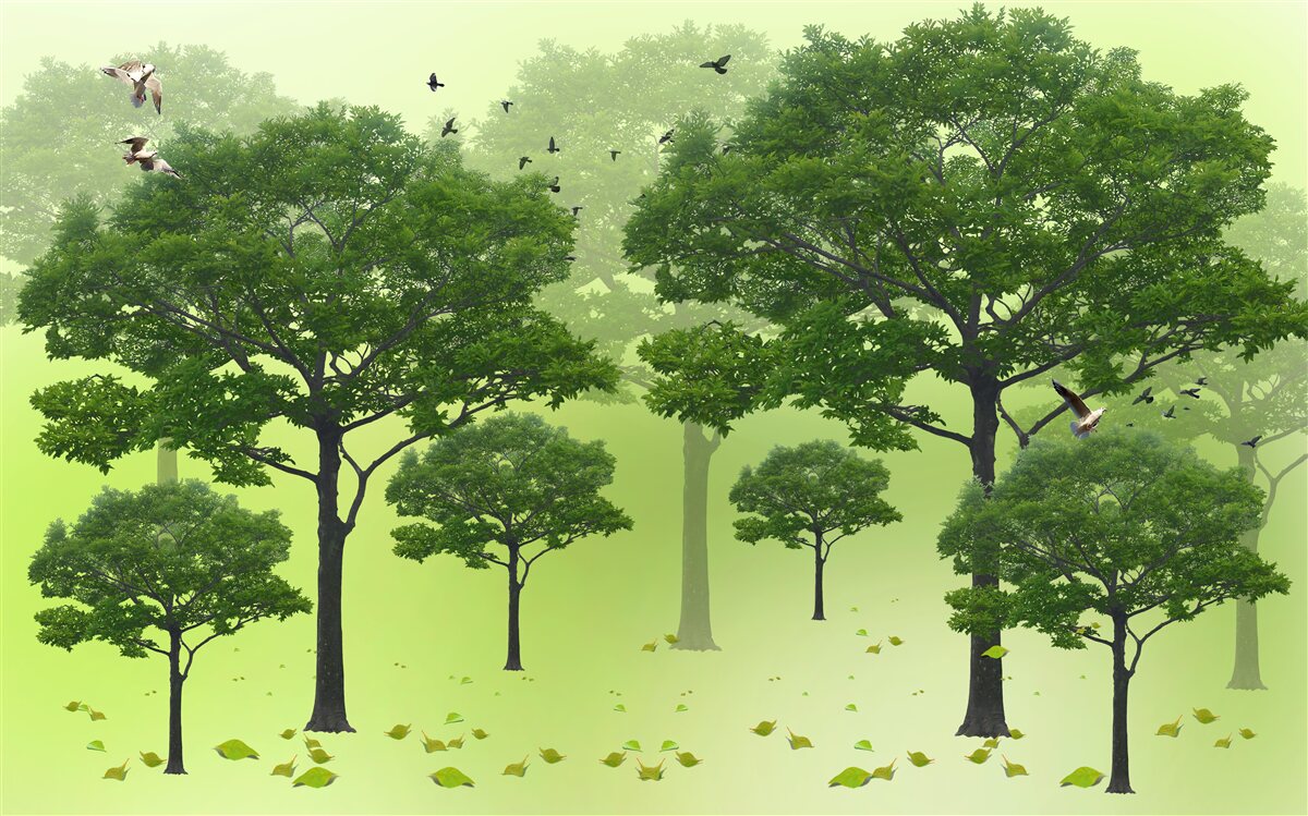 Fotobehang ochtendbos bedekt met groene bladeren