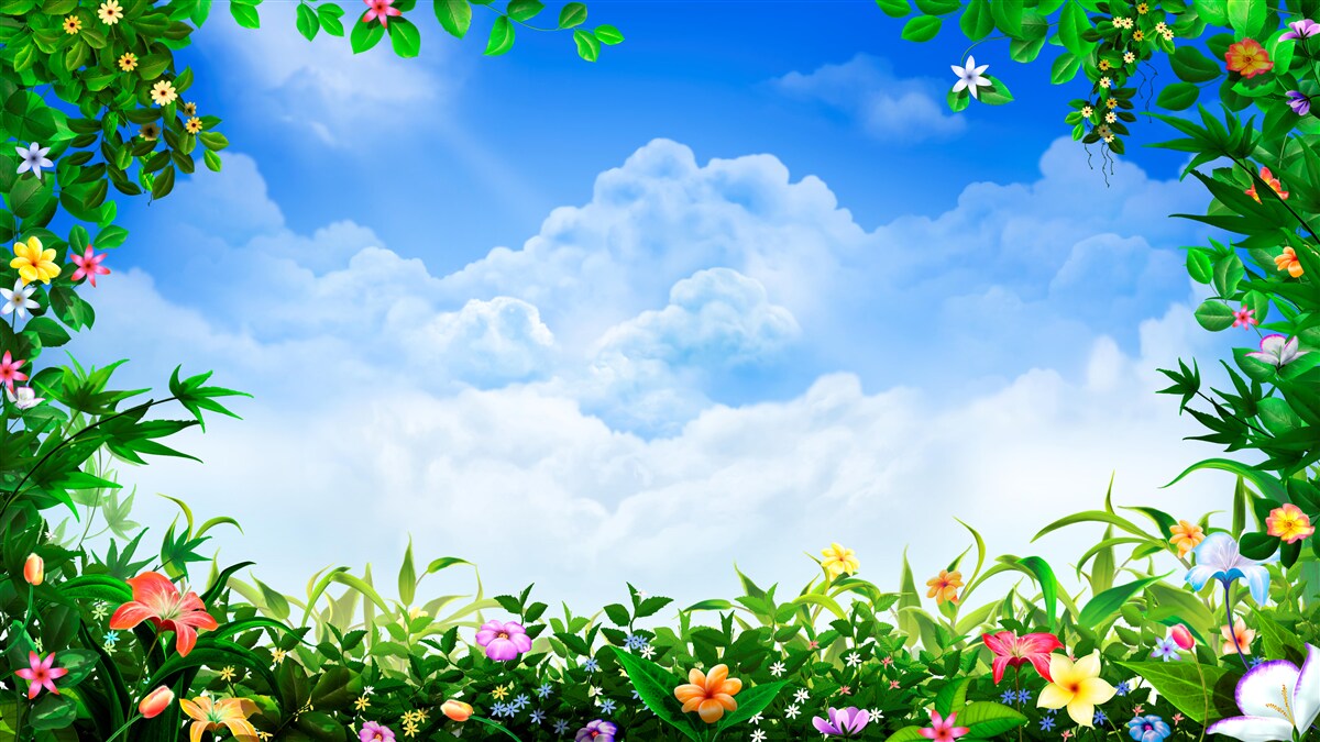 Fotobehang groene bladeren glinsteren onder blauwe wolken