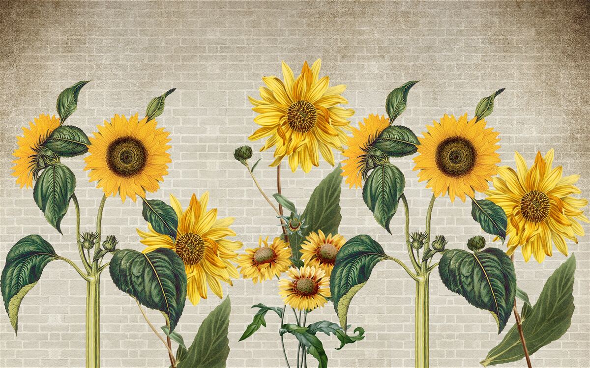 Fotobehang Bakstenen muur met zonnebloemen op de voorgrond