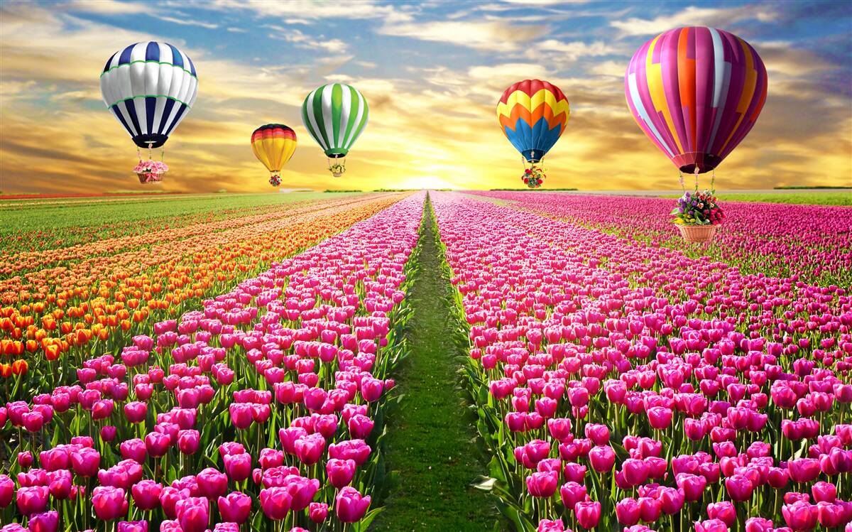 Fotobehang ballen die opstijgen boven een tulpenveld