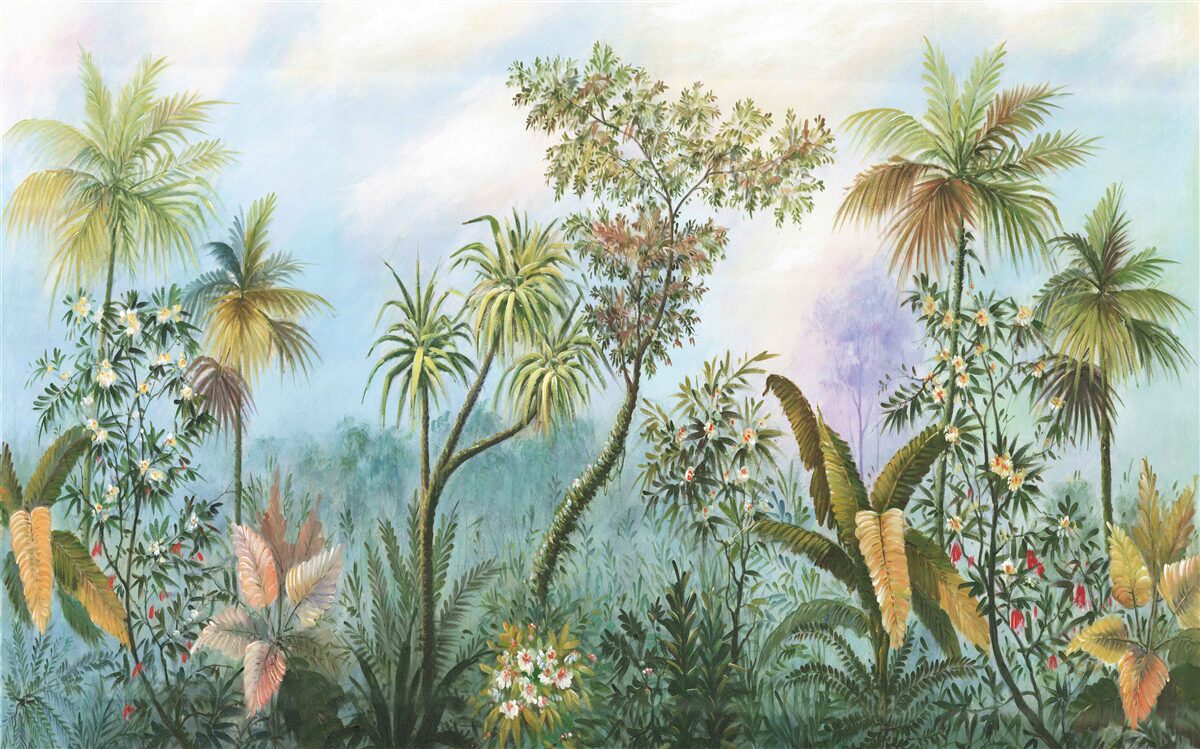 Fotobehang dagelijkse biodiversiteit van de vegetatie in bosgebieden