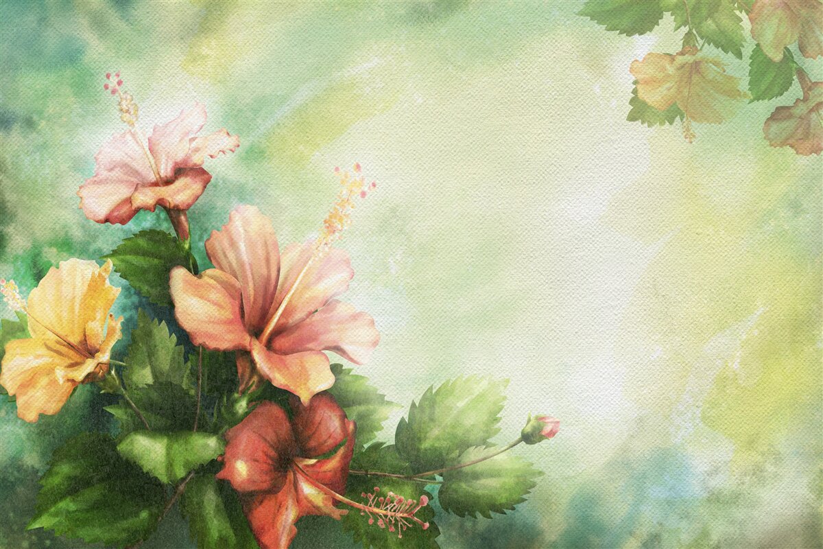 Fotobehang prachtige aquarelplanten