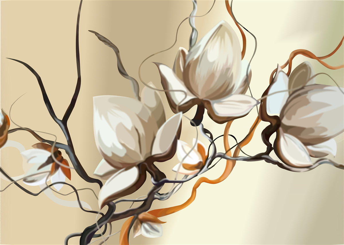 Fotobehang witte bloeiende takken van magnolia