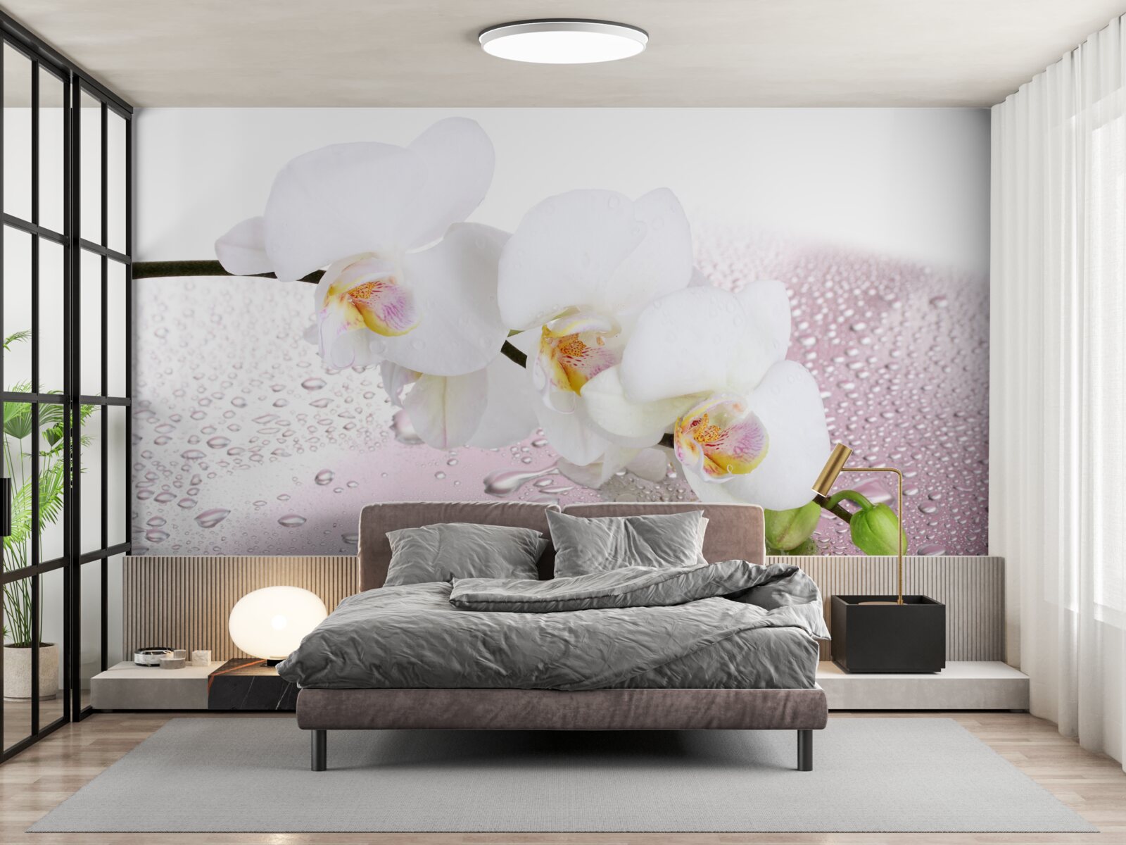 Fotobehang natte witte orchideeëntak versierd met waterdruppels