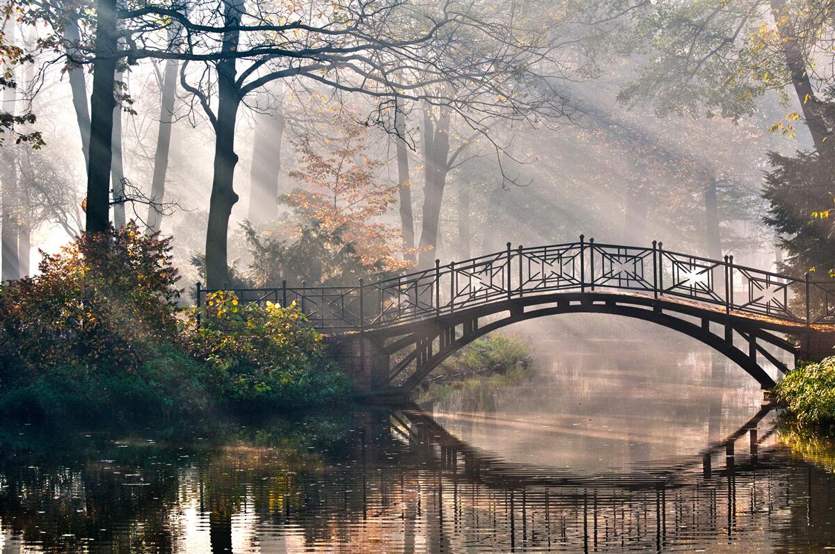 Fotobehang de mistige bosbrug over het meer is gemaakt van hout