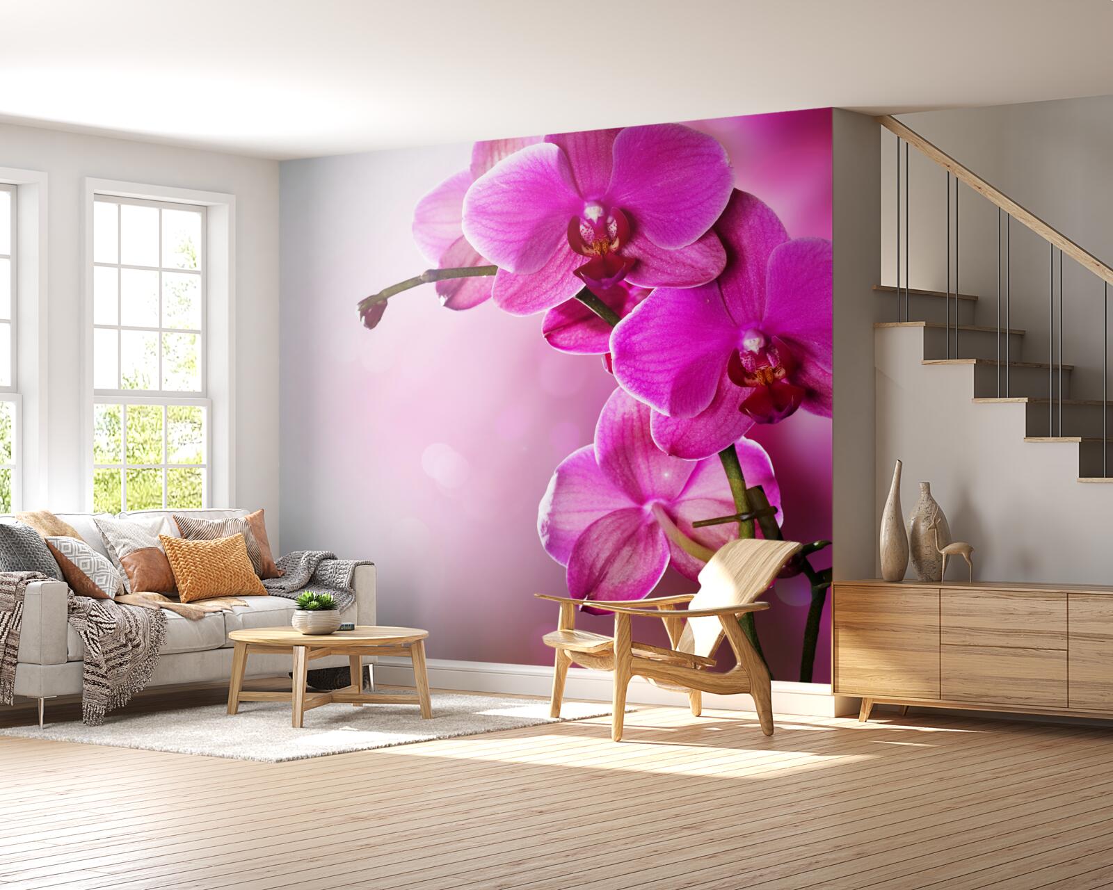 Fotobehang orchideeën en seringknop
