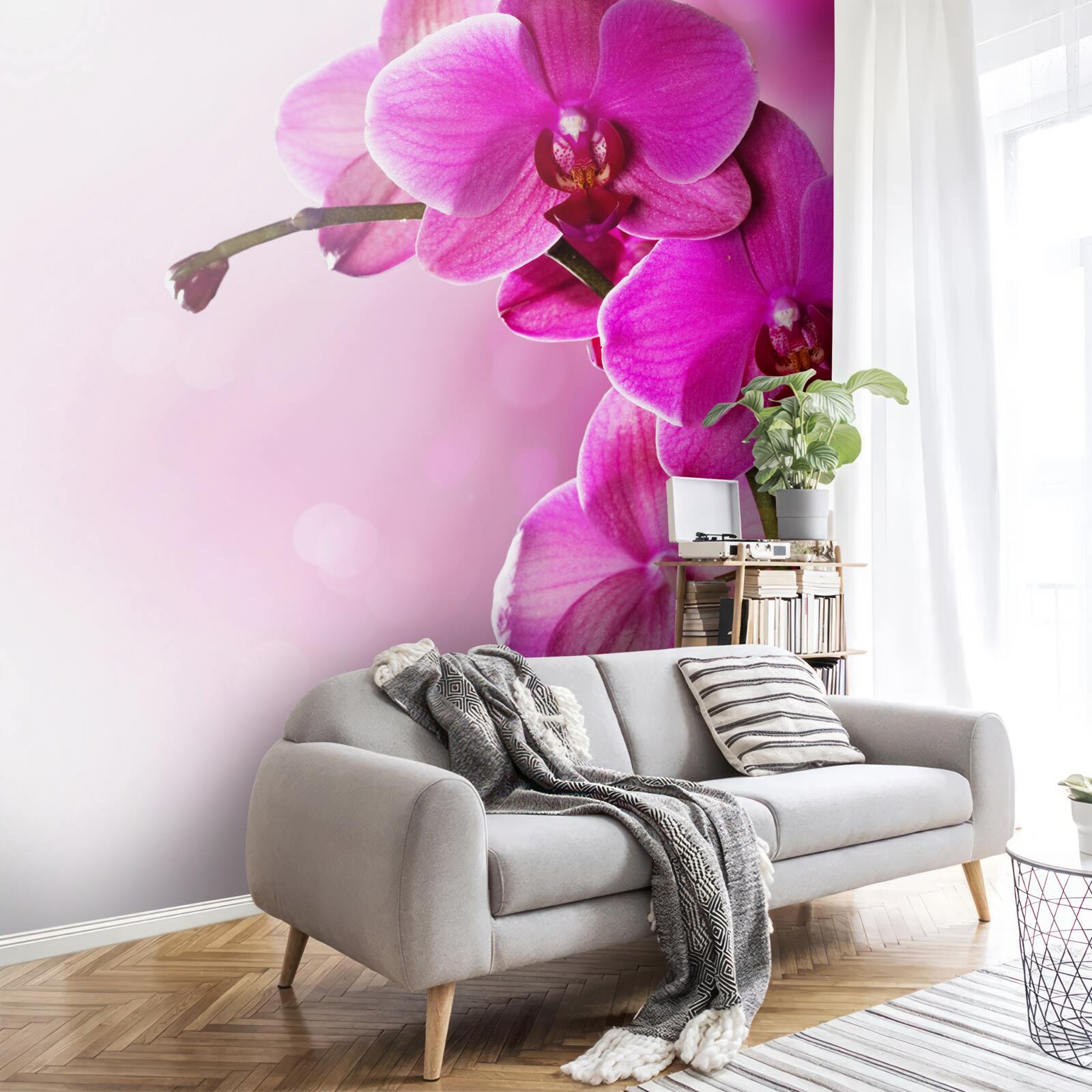 Fotobehang orchideeën en seringknop