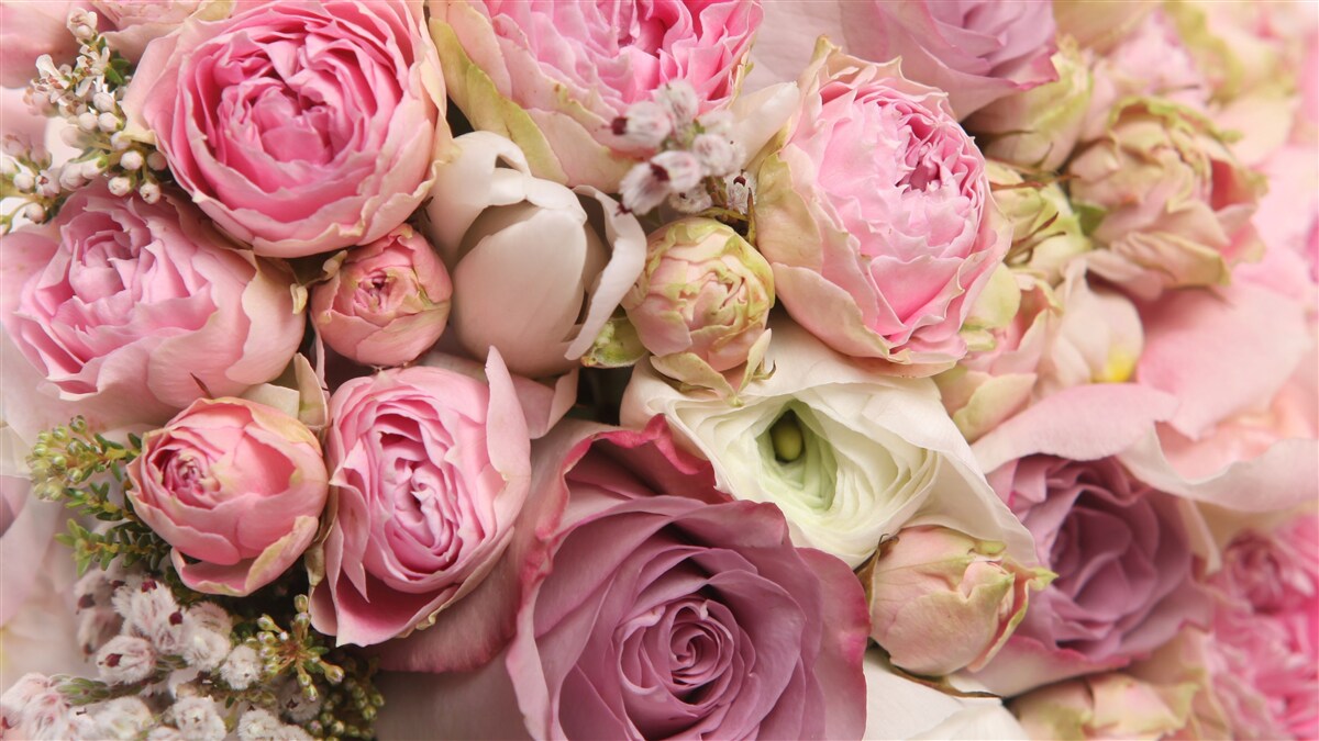 Fotobehang een delicaat boeket bloemen met een romantisch tintje