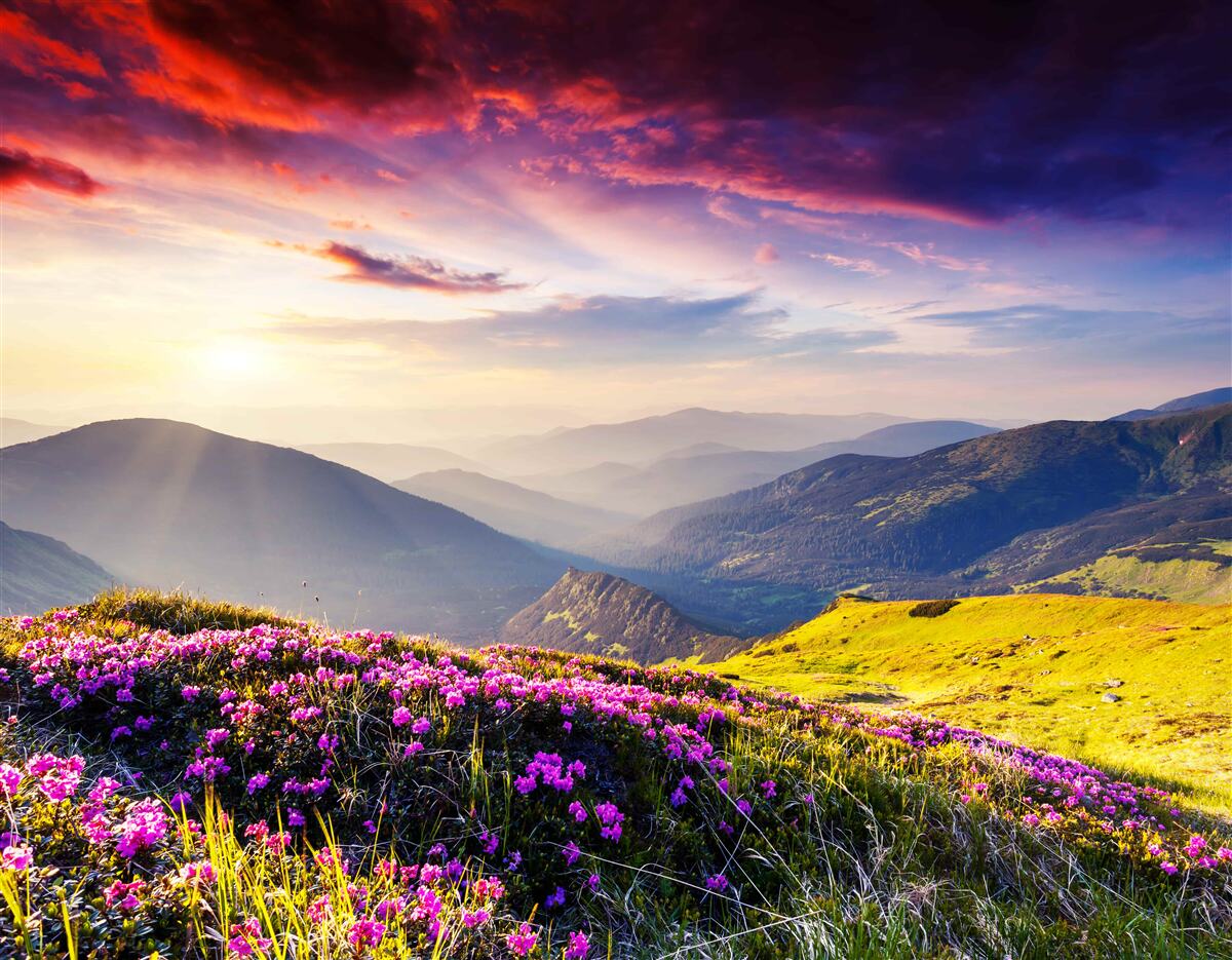 Fotobehang bij zonsopgang komen de bergheuvels tot leven met levendige kleuren