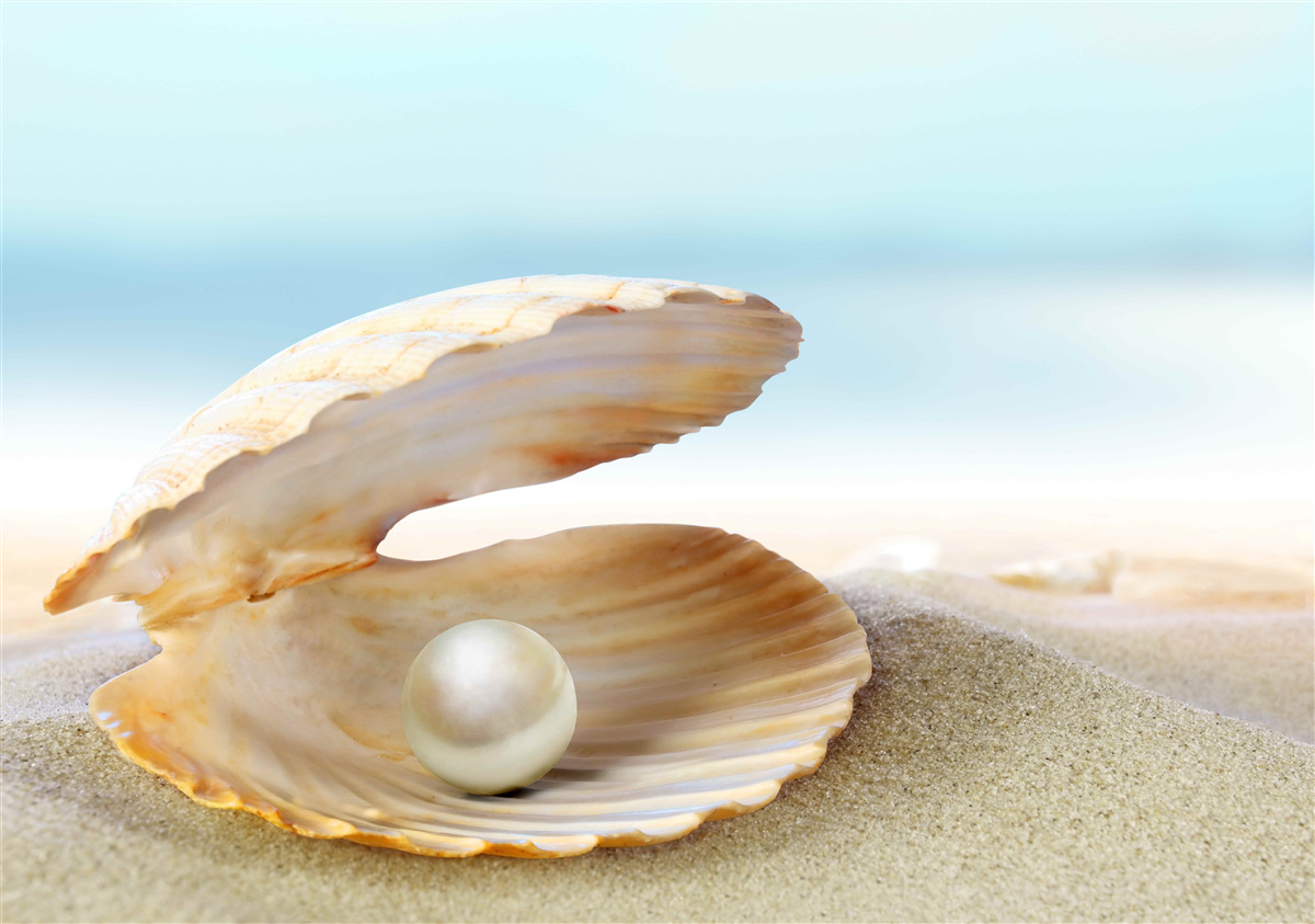 Fotobehang Parel in een mosselschelp aan de kust