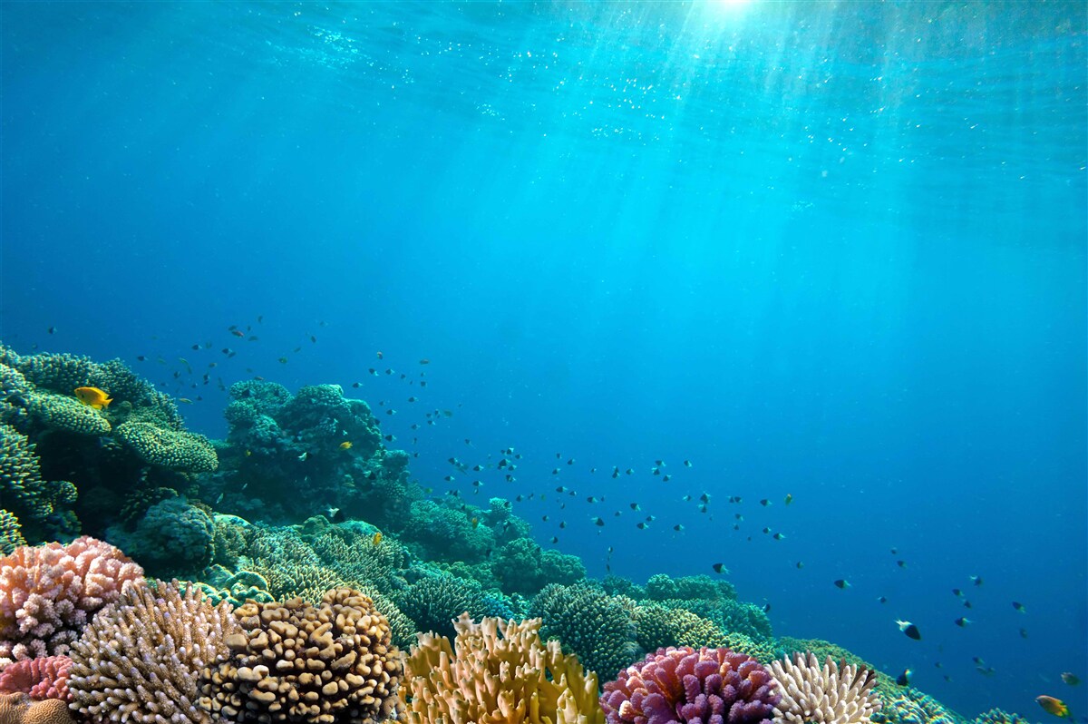 Fotobehang oceaandieptes