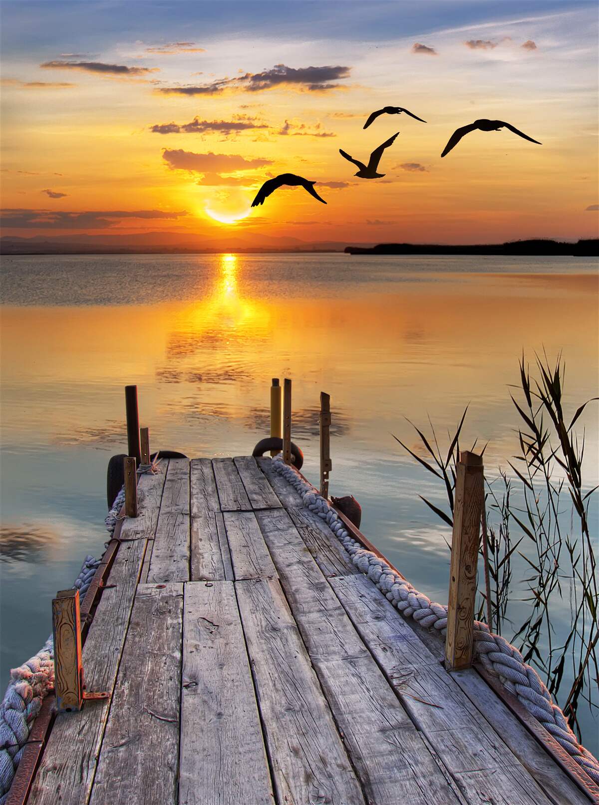 Fotobehang een warme zonsondergang op een brug waar meeuwen rondcirkelen
