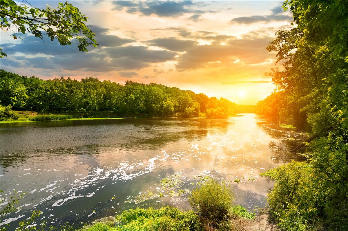 Fotobehang de ondergaande zon verwarmt zachtjes de bosrivier